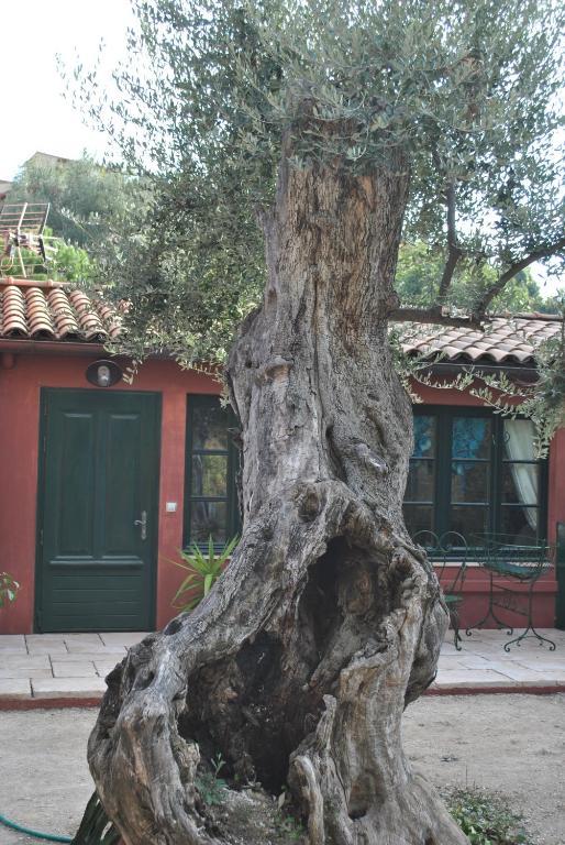 Sous L'Olivier Bed and Breakfast Mentone Esterno foto